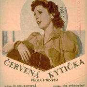 Zpěv - Kytara - Harmonika - Červená kytička