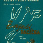 Zaječí pacička - Kdo má v hlavě brouka