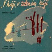 Zpěv - kytara - harmonika - V háji, v zeleném háji