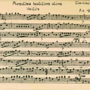 Písnička kočičím očím