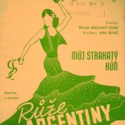 Můj strakatý kůň