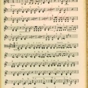 Heckenrosen - Růžový keříček