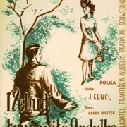 Zpěv - Kytara - Harmonika - Nebuď trucovitá Andulko..