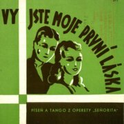 Klavír - Zpěv - kytara - harmonika 311 - Vy jste moje první láska