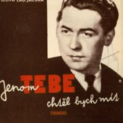 Jenom tebe chtěl bych mít