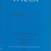 Osamělý mořeplavec