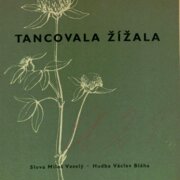 Tancovala žížala