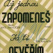 Až jednou zapomeneš, Já ti nevěřím