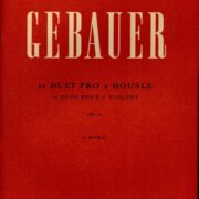 12 duet pro 2 housle