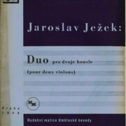 Duo pro dvoje housle