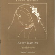 Květy jasmínu