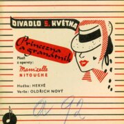 Princezna a granátník