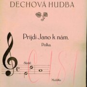 Slovácká dechová hudba