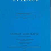 Osamělý mořeplavec