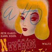 Nevěřím slovům tvým