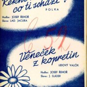 Řekni mi co ti schází?, Věneček z kopretin