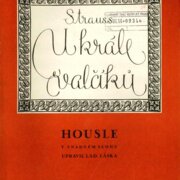 Strauss u krále valčíku - Housle v snadném slohu