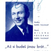 Až si budeš jinou brát