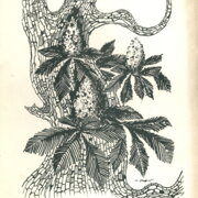 Na slova Petra Bezruče