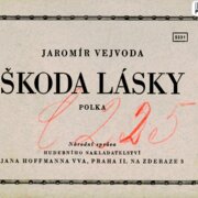 Škoda lásky