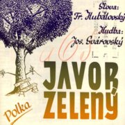 Javor zelený