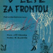 V lese za frontou