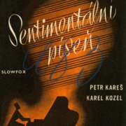 Sentimentální píseň