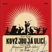 Když jdu já ulicí, Tebe jen