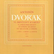 VI. Smyčcový kvartet
