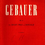 12 duet pro 2 housle