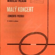 Malý koncert