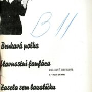 Universální a jazzový orchestr