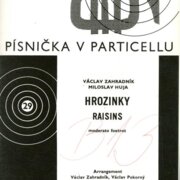 Písnička v particellu 29