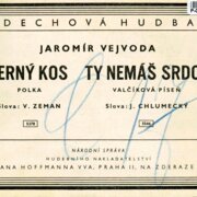 Černý kos, Ty nemáš srdce