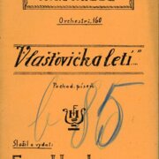 Vlašťovička letí