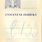 Cvičení se žebříky