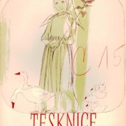 Tesknice