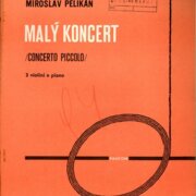 Malý koncert
