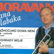 Lanžhočanů doma není, Vinohrady moje