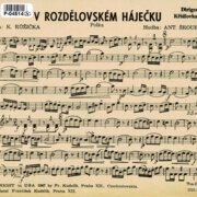 V rozdělovském háječku