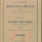 Brigáda práce, Naše družba