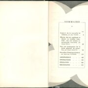 Revue Internationale