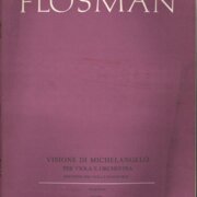 Visione di Michelangelo