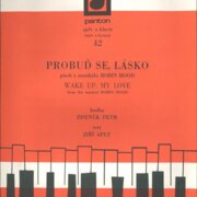 Probuď se, lásko