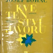 Květenství javorů