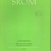 Concertino per 2 flauti e archi