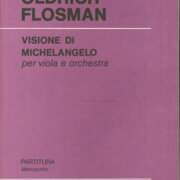 Visione di Michelangelo