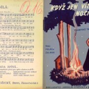Když jen vítr noci zpívá