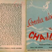 Sebrala nám voda chajdu