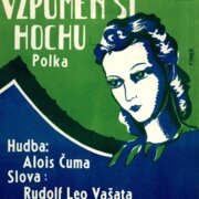 Vzpomen si hochu